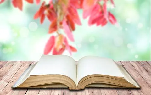 Open book in nature background Stock Photos