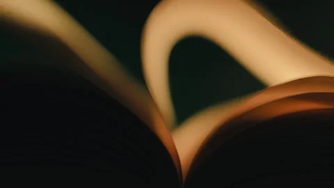 Open Book Pages Flipping, Knowledge Concept. Fresh ideas, imagination, personal  Stock Footage 332663926