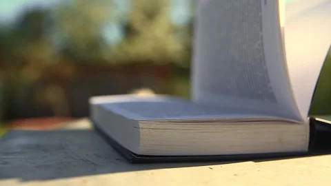 Open book with pages stirring from gusts of strong wind Stock Footage 159677072
