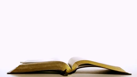 Open Book Pages Turning Slowly, Animated Loop With Turning Pages Video stock 342902753