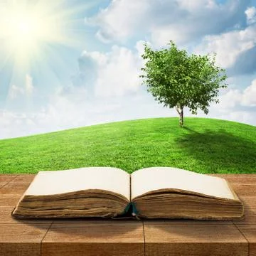 Open book Stock Photos