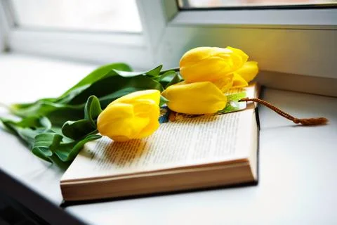 Open book Stock Photos