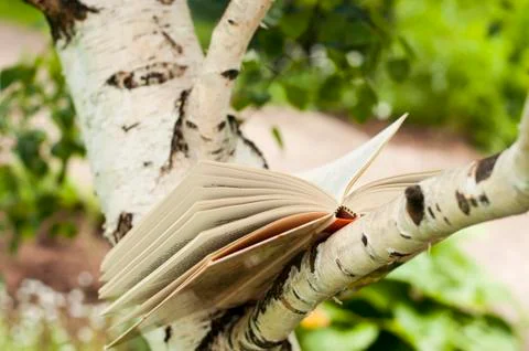 Open book Stock Photos
