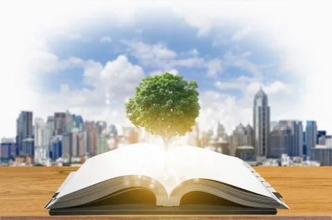 Open book Stock Photos