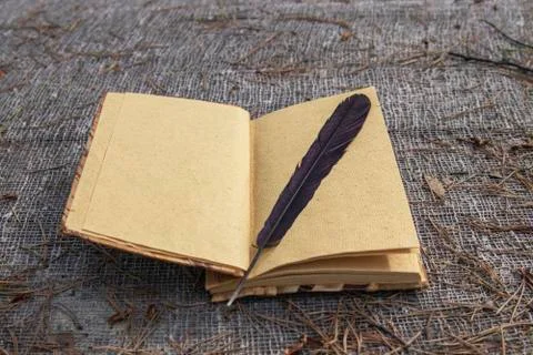 Open book. Stock Photos