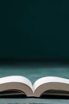 Open Book 스톡 사진