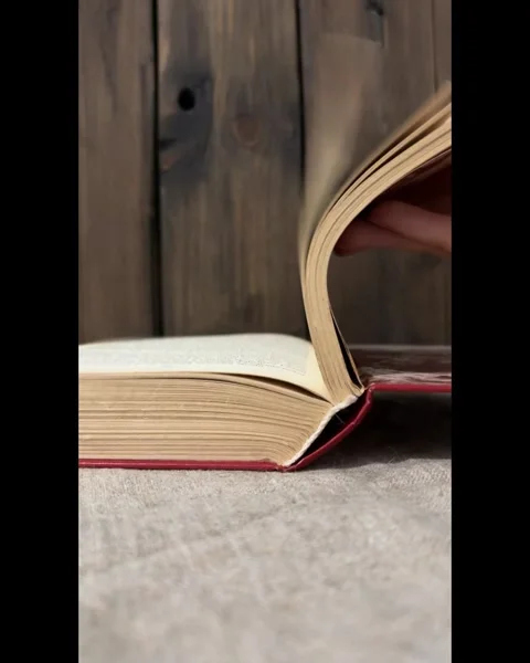 An open book. Quick flipping through the book. Stock Footage 288453357