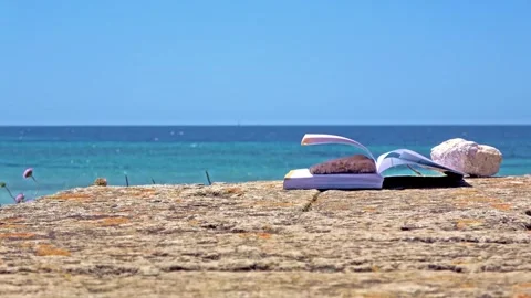 Open book with rock on beach by ocean 스톡 동영상 338384787