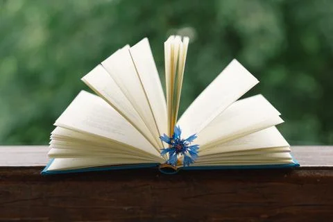 An open book on a rustic wooden table Stock Photos