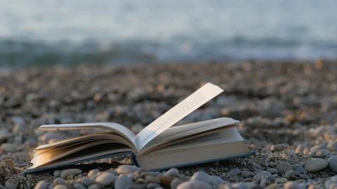 Open book on sea background Stock Footage 130136176