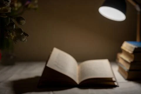 Open book in soft focus under warm lamp light. Stock Photos