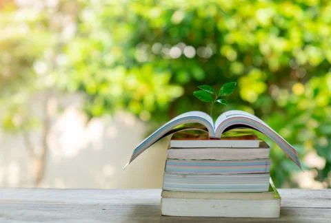 The open book on stack with plant growth. Stock Photos