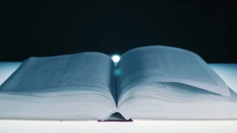 Open book which is exposed to a flow of air and the pages flipping Stock Footage 313145535