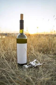 Open bottle of red wine with empty label, natural cork and metal corkscrew Stock Photos