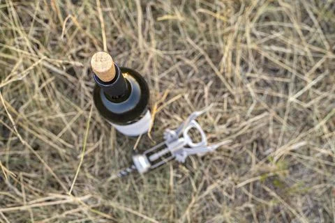 Open bottle of red wine with empty label, natural cork and metal corkscrew Foto stock