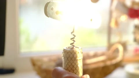 Open a bottle of wine with a corkscrew Video stock 130535592