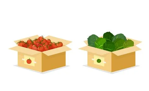 Open box with cabbage and tomatoes. Organic red vegetables with fresh green 스톡 일러스트