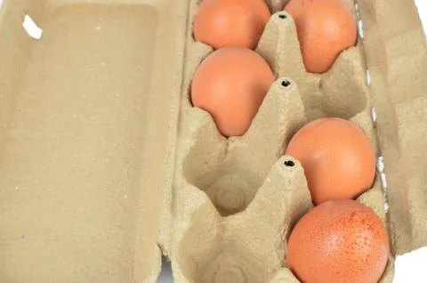 Open Box of Eggs Stock Photos