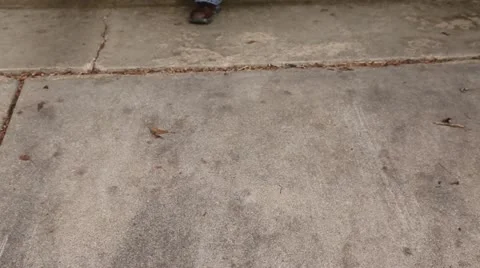 Open Box of lights Stock Footage 12523074