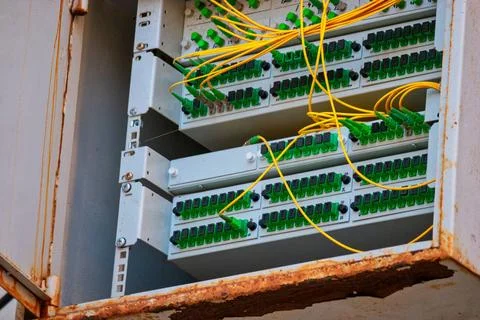 Open box with patch-panels with many fiber optic cords Open box with patch... 스톡 사진