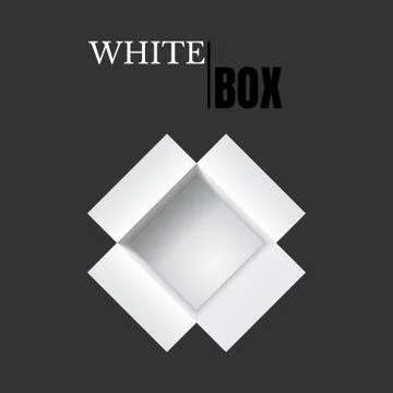 Open box, white cardboard, vector container. 스톡 일러스트