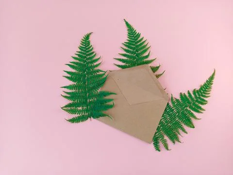 An open brown envelope on a pink background decorated with green ferns. Stock Photos