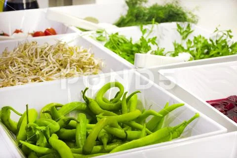 Open buffet in the hotel. Green pepper, soybean sprouts, cherry tomatoes. dil Stock Photos