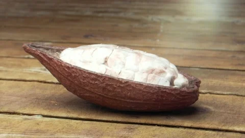 Open Cacao Pod with Fresh White Cacao Beans on Rustic Wooden Table Stock Footage 289329927