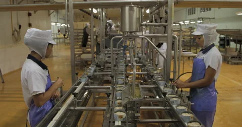 Open Cans In Conveyor Line Of Tuna Fish Factory (4K) Stock Footage 60933603