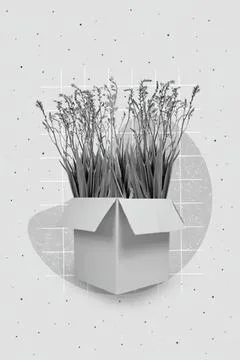Open cardboard box with dried grass inside on wall background Stock Photos