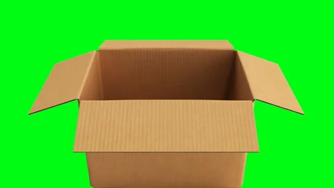 Open cardboard box on green background no shadow Stock Footage 89238955