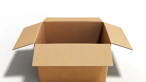 Open cardboard box on white background Stock Footage 89238728