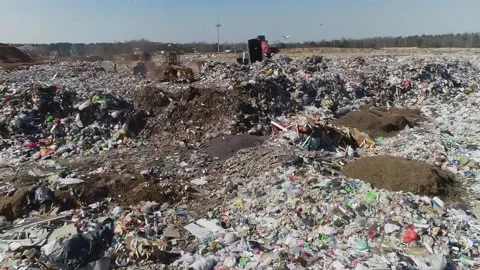Open city garbage dump. Birds are flying,WASTEP5BRIEF Stock Footage 150018277