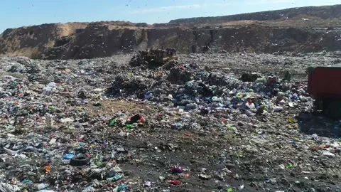 Open city garbage dump. Birds are flying, a bulldozer is leveling piles of waste Stock Footage 150018499
