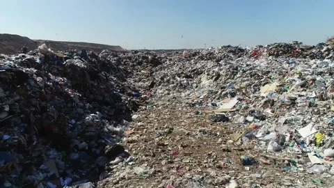 Open city garbage dump, general plan, top view, camera movement. Birds fly, Stock Footage 150017743