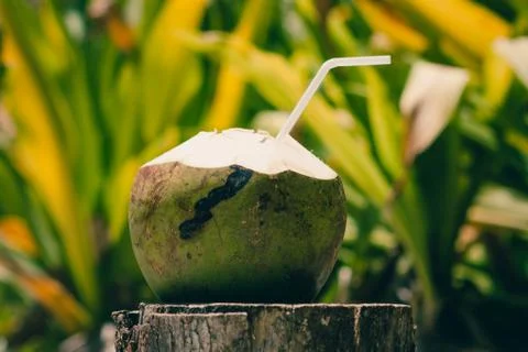 Open coconut with a straw for drinking its milk or water, Phi Phi Island, Tha Stock-Fotos