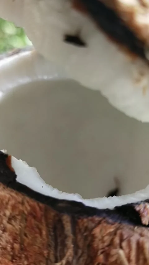 Open coconut vertical Video stock 228836138