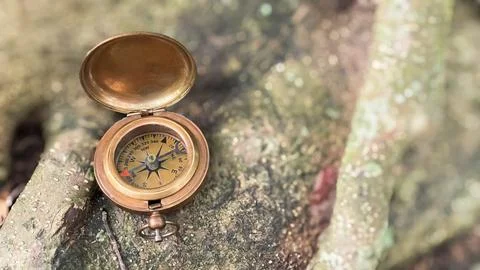 Open compass on a tree trunk with blurred natural background Stock Photos