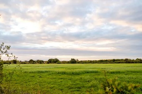 Open countryside field under cloudy morning sky Stock Photos