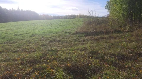 Open Dark Shadowy Field Stretching Out Under A Bright Overcast Sky Stock Footage 348028611