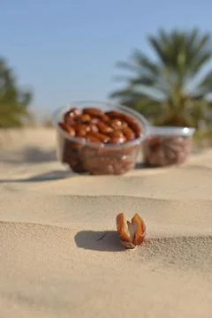 Open date on desert sand with boxes of Tunisian dates in background Stock Photos