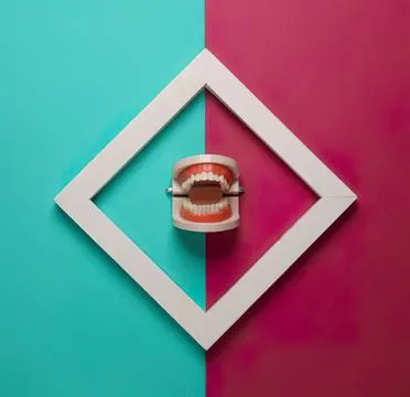 Open dental model with teeth inside a white frame on colorful background Stock Photos