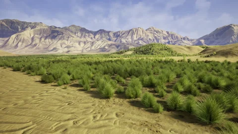 Open desert landscape featuring unique sand patterns and mountain vistas Vídeo Stock 333554933