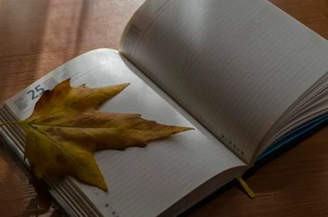 An open diary and a fallen leaf on the desk Stock Photos
