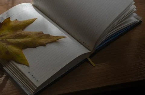 An open diary and a fallen leaf on the desk Stock Photos