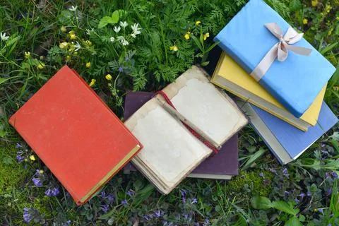 Open diary with empty pages and colorful books laying on green grass lawn out Foto stock