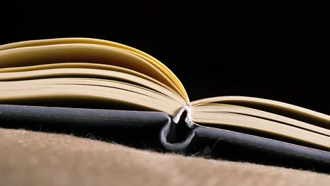 Open diary journal paper book Stock Footage 295146640
