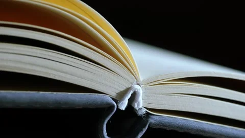Open diary journal paper book Stock Footage 296249813