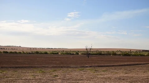 Open dirt field with ship and old tree under cloudy blue sky Stock Footage 80129061