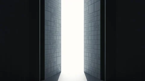 Open the door and go through it, 3d rendering. Stock Footage 162041406